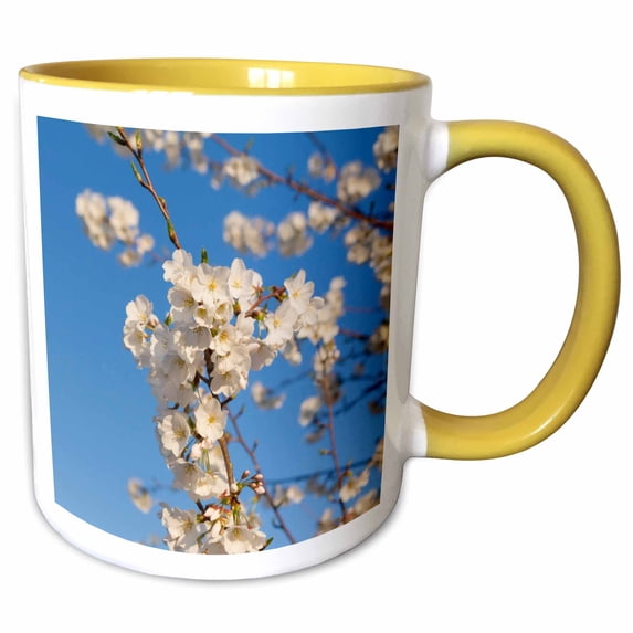 3drose, Usa, Washington Dc. White Cherry Blossoms - Us09 Cre0002 - Christopher Reed, 15oz Two-tone Yellow Mug