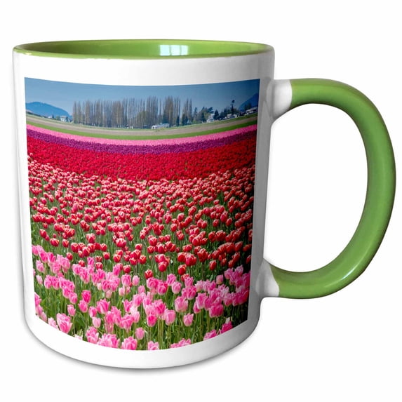 3drose, Usa, Washington. Field of Multicolored Tulips., 15oz Two-tone Green Mug