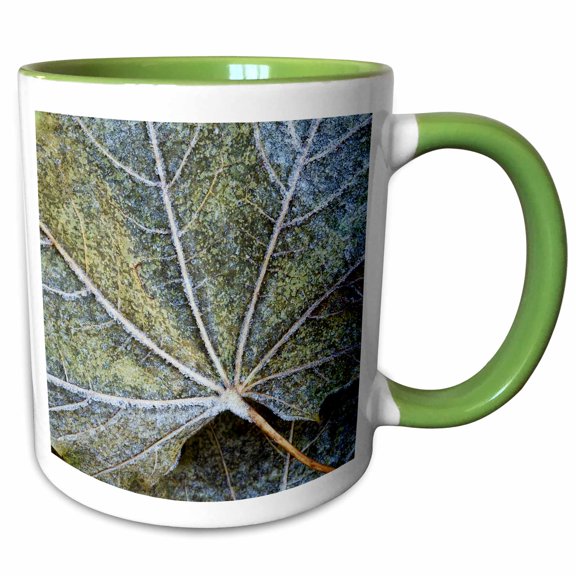 3drose, Usa, Washington, John a Finch Arboretum, Sycamore Leaves, 11oz Two-tone Green Mug