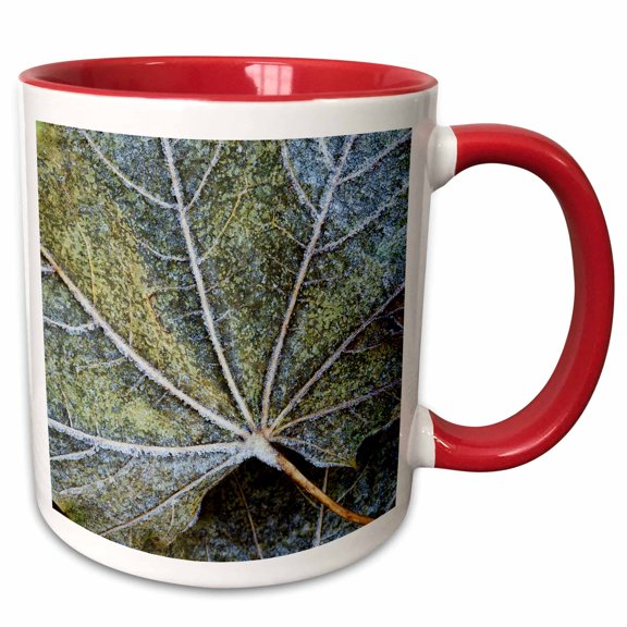3drose, Usa, Washington, John a Finch Arboretum, Sycamore Leaves, 11oz Two-tone Red Mug