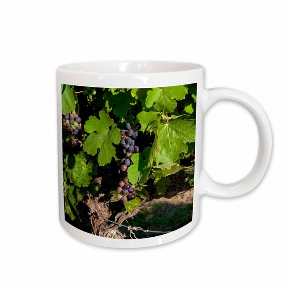3drose, Usa, Washington, Okanogan Valley. Pinot Grapes in Vineyard., 15oz Mug