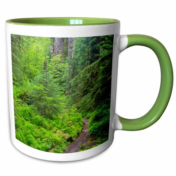 3drose, Usa, Washington, Olympic National Park. Forest Trail., 11oz Two-tone Green Mug