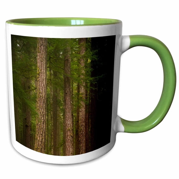 3drose, Usa, Washington, Olympic Np. Western Hemlock Trees in Rainforest., 11oz Two-tone Green Mug