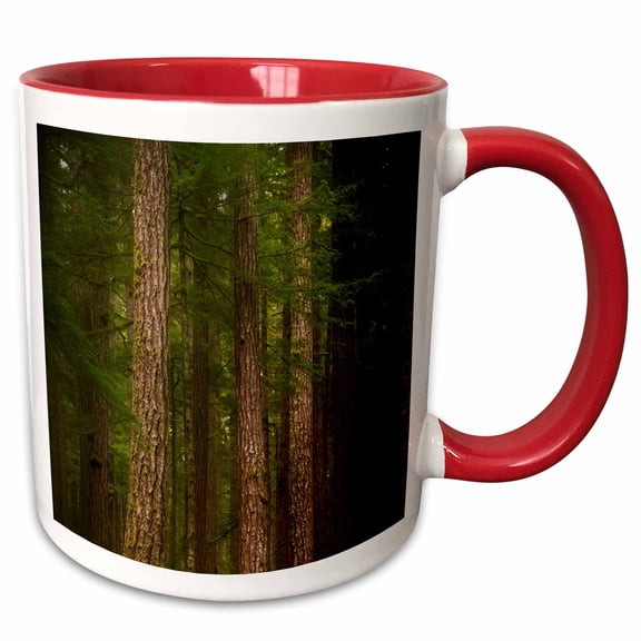 3drose, Usa, Washington, Olympic Np. Western Hemlock Trees in Rainforest., 11oz Two-tone Red Mug