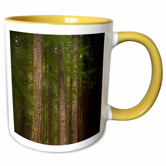3drose, Usa, Washington, Olympic Np. Western Hemlock Trees in Rainforest., 11oz Two-tone Yellow Mug