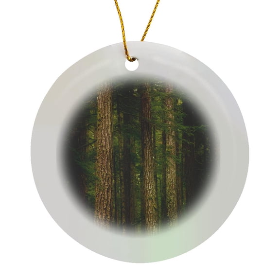 3drose, Usa, Washington, Olympic Np. Western Hemlock Trees in Rainforest., Circle Porcelain Ornament