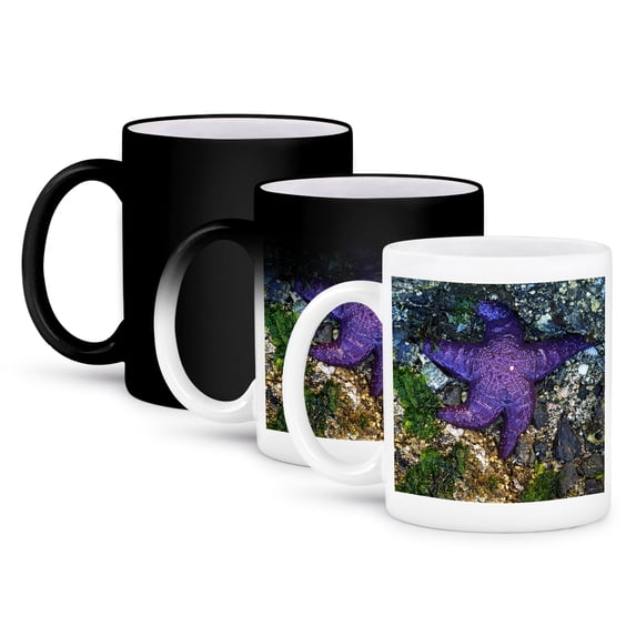 3dRose, USA, Washington, Orcas Island, Purple Star, Starfish , 11oz Magic Transforming Mug