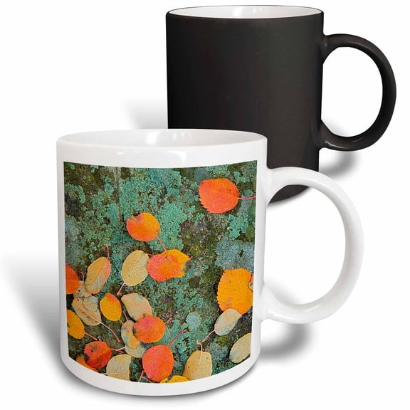 3drose, Usa, Washington, Riverside Sp, Western Serviceberry Leaves on Lichen, 11oz Magic Transforming Mug