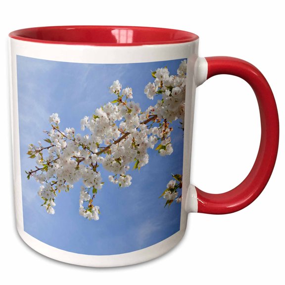 3drose, Usa, Washington, Seabeck. Cherry Blossoms Against Blue Sky., 11oz Two-tone Red Mug