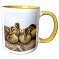 thumbnail image 1 of 3drose, Usa, Washington, Seattle. Mallard Ducks Clutch of Ducklings., 15oz Two-tone Yellow Mug, 1 of 6