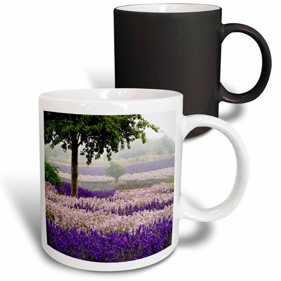 3drose, Usa, Washington, Sequim, Lavender Field Blooming with Lone Tree, 11oz Magic Transforming Mug