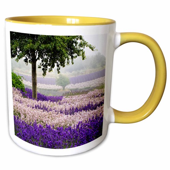 3drose, Usa, Washington, Sequim, Lavender Field Blooming with Lone Tree, 11oz Two-tone Yellow Mug