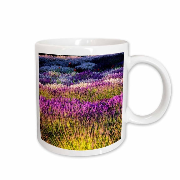 3drose, Usa, Washington, Sequim, Lavender Field, Lavender Field in Full Boom, 11oz Mug