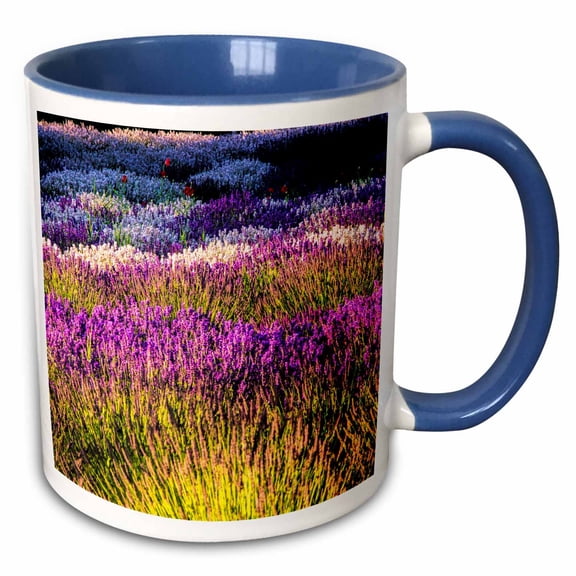 3drose, Usa, Washington, Sequim, Lavender Field, Lavender Field in Full Boom, 11oz Two-tone Blue Mug