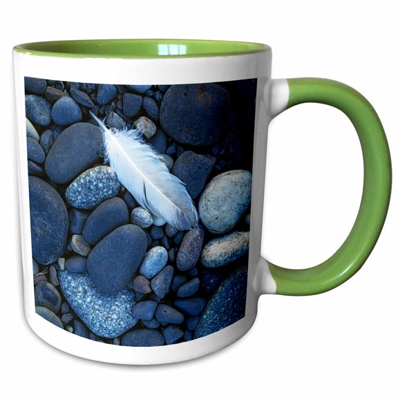 3drose, Usa, Washington, Snake River, Hells Canyon, Gull Feather and Stones., 11oz Two-tone Green Mug