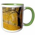 thumbnail image 1 of 3drose, Usa, Washington, Spokane, Manito Park, Horse Chestnut Trees in Fall, 11oz Two-tone Green Mug, 1 of 6