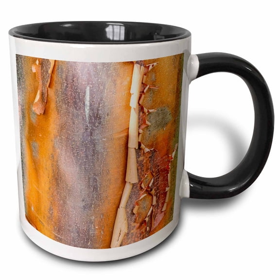 3drose, Usa, Washington State. Bellevue Botanical Garden and Tree Bark, 15oz Two-tone Black Mug