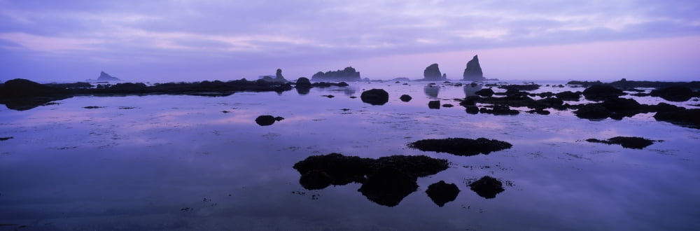 Usa Washington State Olympic National Park Rialto Beach Sea Stacks Dusk Canvas Art - Ron Watts Design Pics (36 x 12)