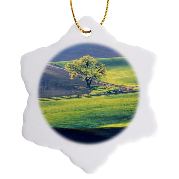 3drose, Usa, Washington State, Palouse, Lone Tree in Wheat Field, 3 inch Snowflake Porcelain Ornament