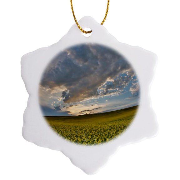 3drose, Usa, Washington State, Palouse. Springtime Landscape. Canola Fields, 3 inch Snowflake Porcelain Ornament