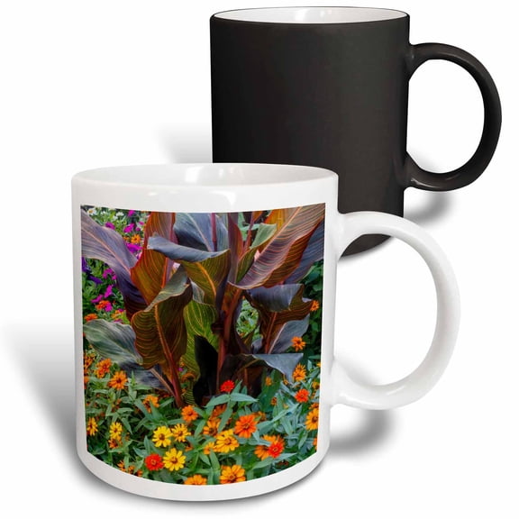 3drose, Usa, Washington State, Sammamish. Cinnias and Canna Lily in Garden., 11oz Magic Transforming Mug