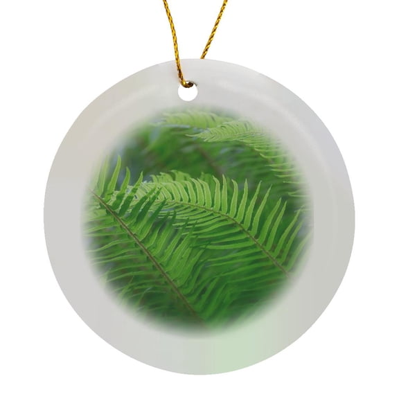 3drose, Usa, Washington State, Seabeck. Sword Fern Close-up., Circle Porcelain Ornament