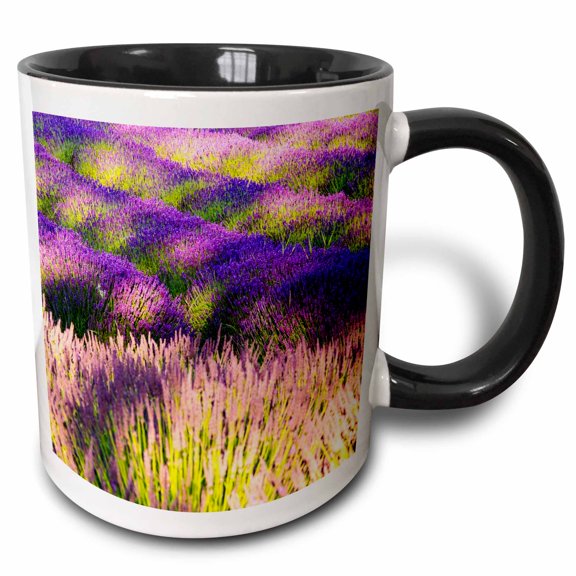 3drose, Usa, Washington State, Sequim, Lavender Field in Full Boom, 11oz Two-tone Black Mug