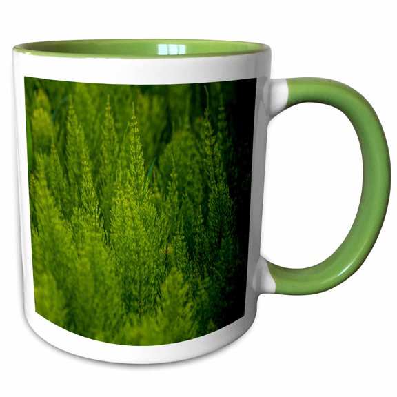 3drose, Usa, Washington State, Whitman County, Palouse. Green Plants., 15oz Two-tone Green Mug