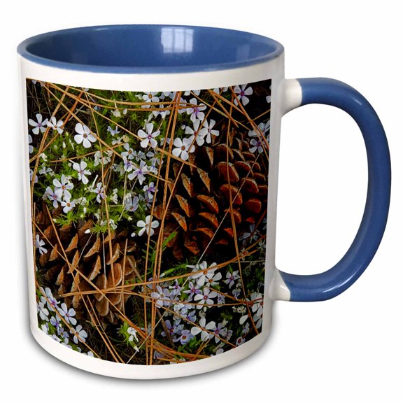 3drose, Usa, Washington, Tufted Phlox and Ponderosa Pine Cones, 15oz Two-tone Blue Mug
