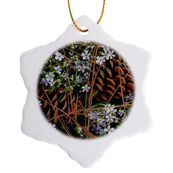 3drose, Usa, Washington, Tufted Phlox and Ponderosa Pine Cones, 3 inch Snowflake Porcelain Ornament