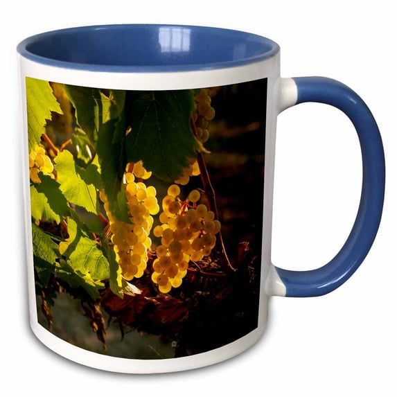 Usa, Washington, Yakima Valley. Harvest in the French Creek vineyard. 15oz Two-Tone Blue Mug mug-260519-11