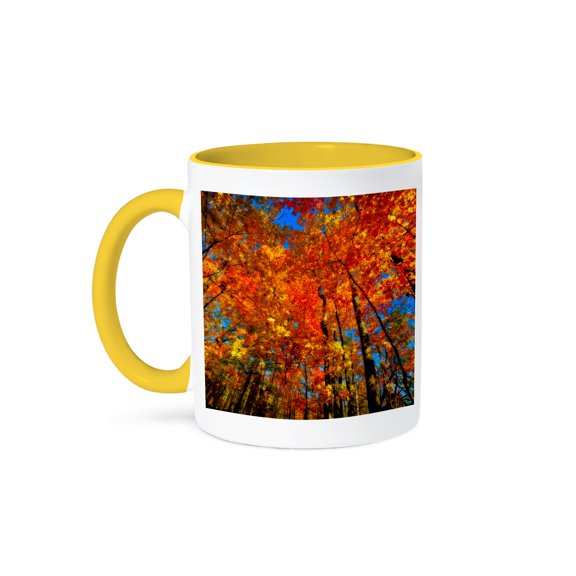 Usa, West Lafayette, Indiana, Trees At The Celery Bog In Autumn, 11oz Two-Tone Yellow Mug