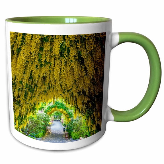 3drose, Usa, Whidbey Island, Langley. Golden Chain Tree on a Metal Frame., 11oz Two-tone Green Mug