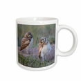 thumbnail image 1 of 3drose, Usa, Wy. Two Young Burrowing Owls Stand at the Edge of Their Burrow, 11oz Mug, 1 of 6