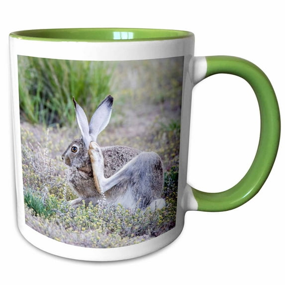3drose, Usa, Wy. White-tailed Jackrabbit Scratches Behind Its Ear., 11oz Two-tone Green Mug