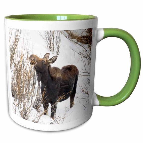 3drose, Usa, Wy, Yellowstone Np. Female Moose Eating Willow Branches in Snow., 11oz Two-tone Green Mug