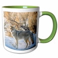 thumbnail image 1 of 3drose, Usa, Wyoming, Yellowstone Np. Coyote Close-up in Winter., 11oz Two-tone Green Mug, 1 of 6