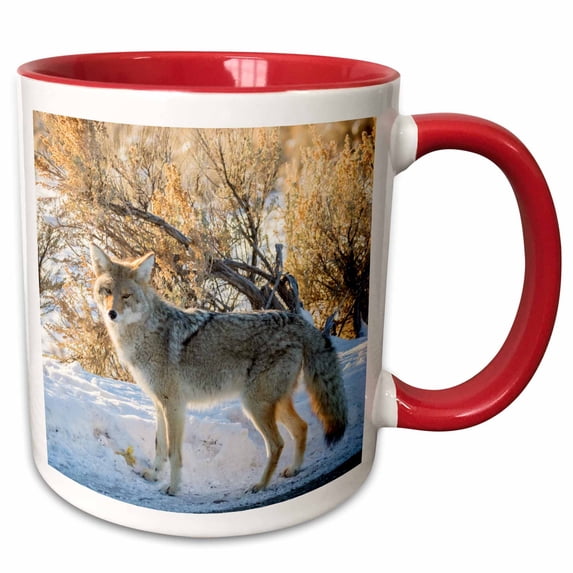 3drose, Usa, Wyoming, Yellowstone Np. Coyote Close-up in Winter., 11oz Two-tone Red Mug