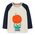 thumbnail image 1 of Usaibhir Halloween Shirt for Toddler Boy Girl Pumpkin Long Sleeve Crewneck Sweatshirt Sweater Clothes Tops for 7Y White, 1 of 1