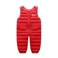 thumbnail image 1 of Usaibhir Toddler Unisex Winter Snow Pants Down Puffer Warm Overall Windproof Fleece Lined Jumpsuit 1-4T, 1 of 3