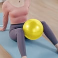 thumbnail image 1 of Usbinx Life Mini Yoga Pilates Ball 10 Inch Stability Exercise Burst-Resistant with Inflatable Straw Core Strength Training Gym Equipment, 1 of 7