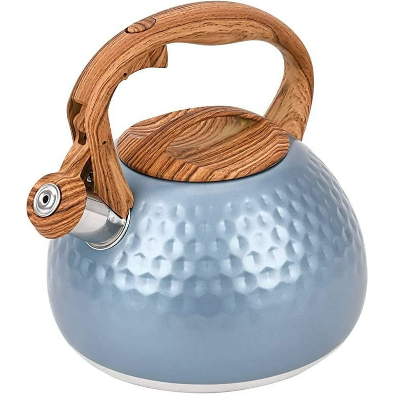 GasSaf 3.2 Quart Stainless Steel Tea Kettle, Blue Whistling GasSaf 3.2 Quart Stainless Steel Tea Kettle, Blue Whistling