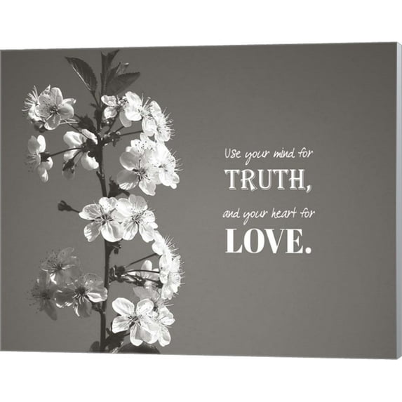 Use Your Mind For Truth - Flowers on Branch Grayscale by Color Me Happy, Canvas Wall Art, 20W x 16H