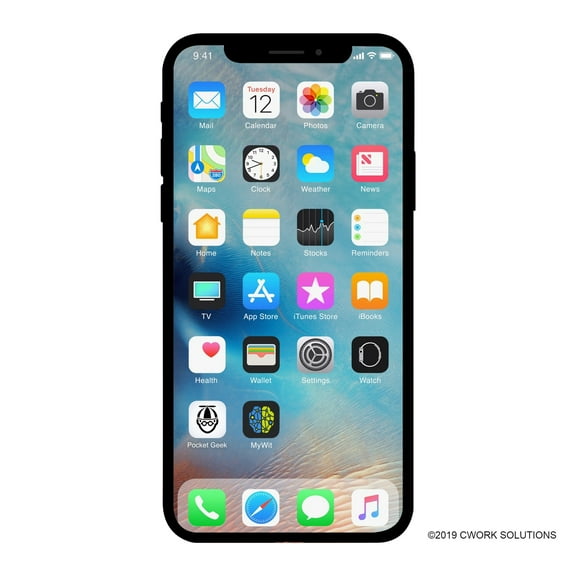 Pre-Owned Apple iPhone X - Carrier Unlocked - 64GB Silver (Like New)