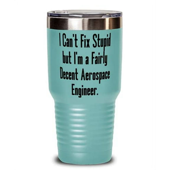 Useful Aerospace engineer, I Can't Fix Stupid but I'm a Fairly Decent Aerospace Engineer, Love Birthday From Coworkers
