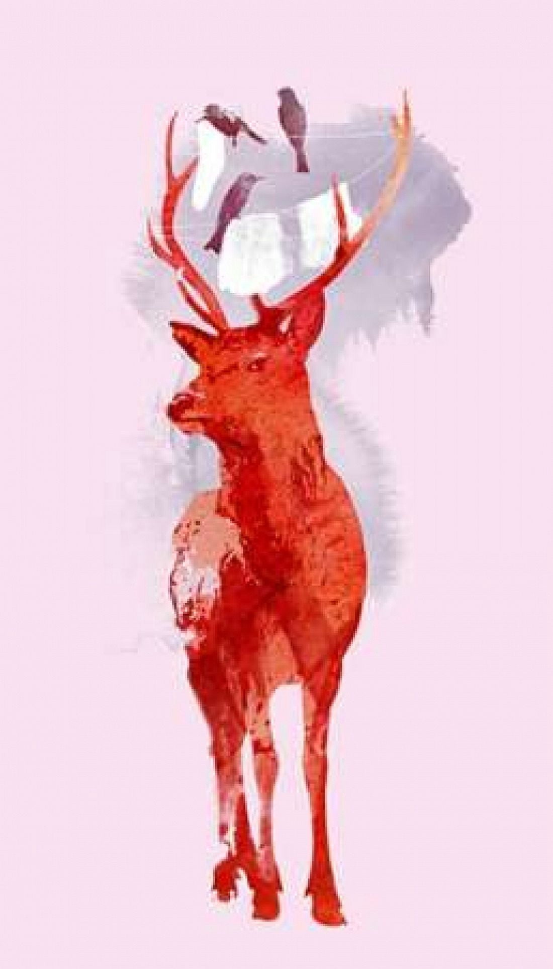 Useless Deer Canvas Art - Robert Farkas (12 x 18)