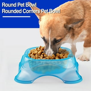 YETI Dog Food Bowls  YETI Boomer — Ohio Outside