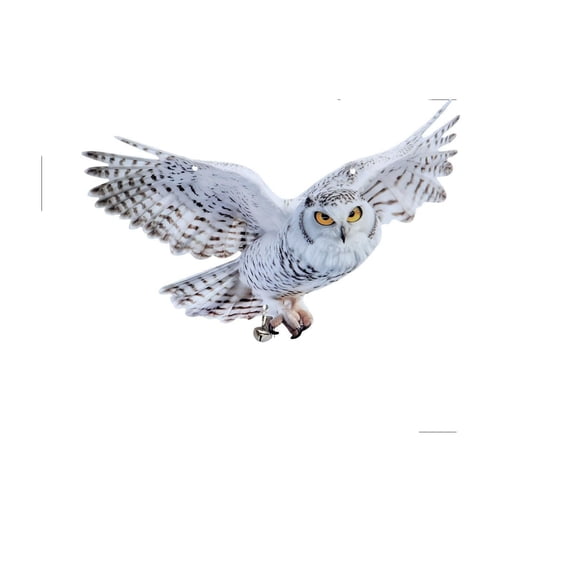 Usloyux Under $5 Outdoor Bird Deterrent Statue, Realistic Owl Simulation Garden Decor, Yard Protection from Pest Birds Squirrels, Weather Resistant Acrylic Animal Figure