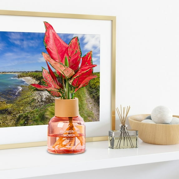 Usloyux Under $5 Water Cultivation Pot, Transparent Self Watering Plant Container, Indoor Hydroponic System for Herbs Succulents, Minimalist Home Garden Decor for Tabletop Display