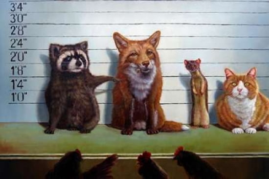 Usual Suspects Canvas Art - Lucia Heffernan (12 x 18)